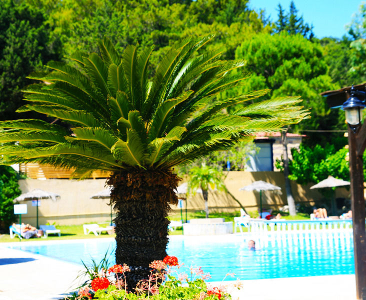 Achousa Hotel Faliraki Dış mekan fotoğraf